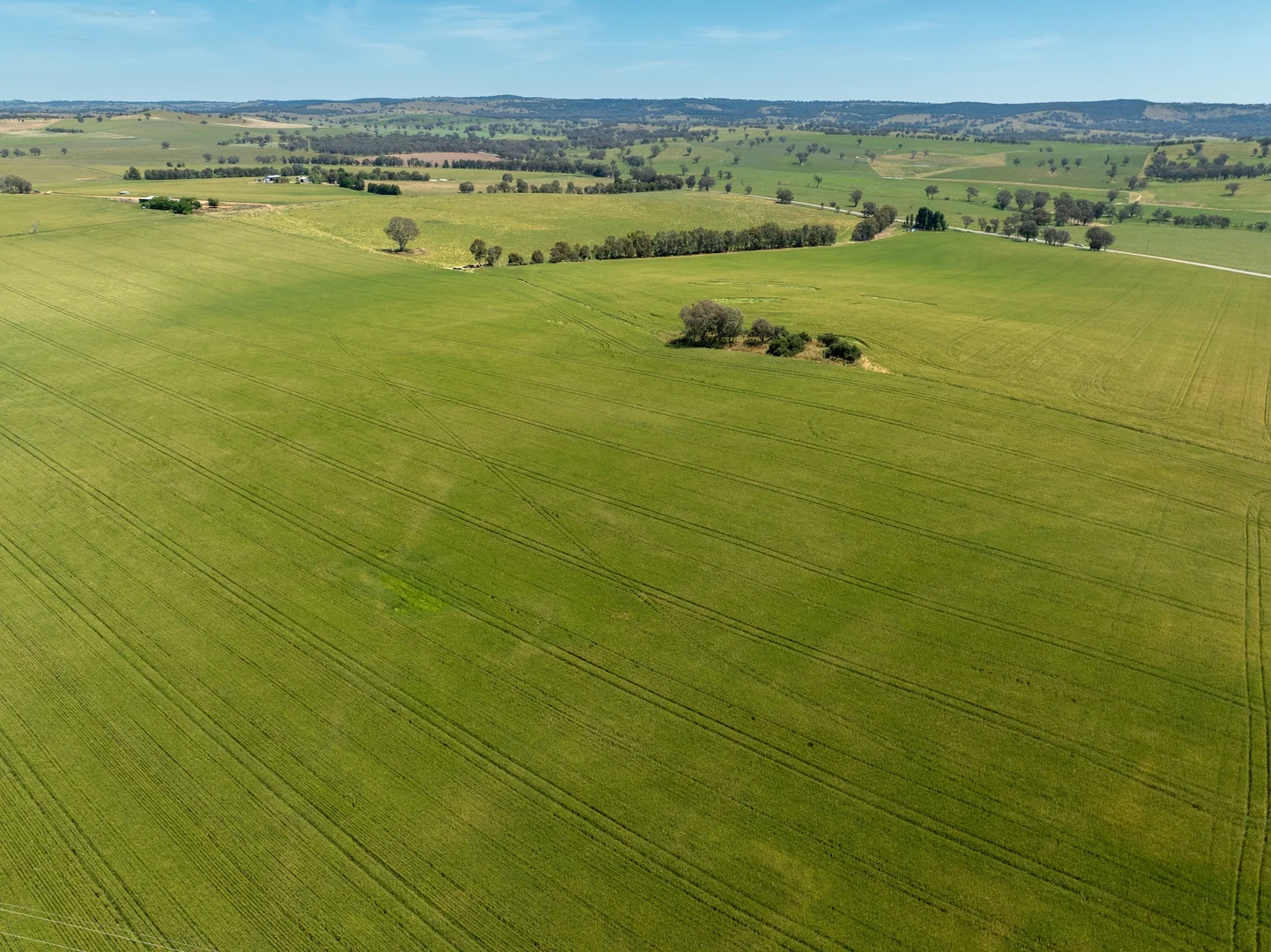 Additional image 25 of 3818 Lachlan Valley Way, Godfreys Creek NSW 2586