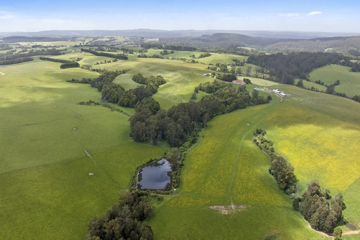 Additional image 9 of 4230 Colac-Lavers Hill Road, Weeaproinah VIC 3237