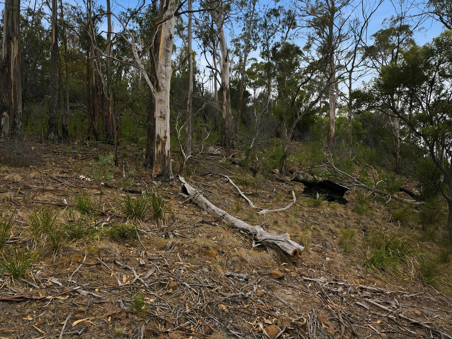 Additional image 8 of 1 Mary Street, Orford TAS 7190