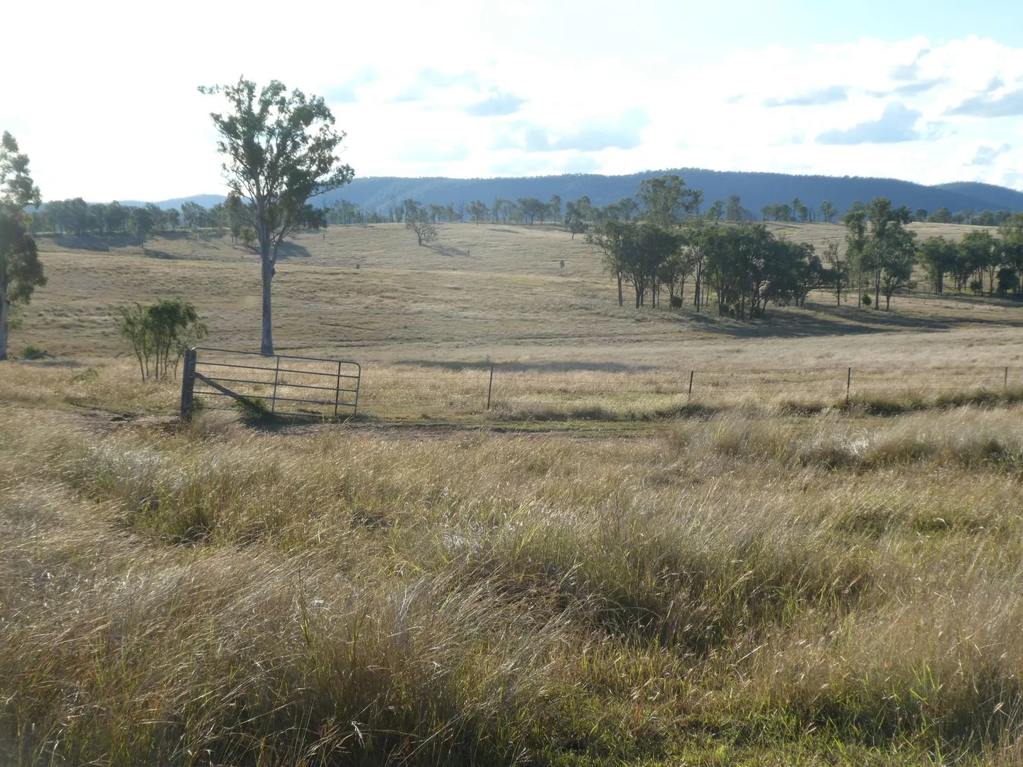 Additional image 8 of Lot 24 Gayndah Mount Perry Road, Mount Steadman QLD 4625