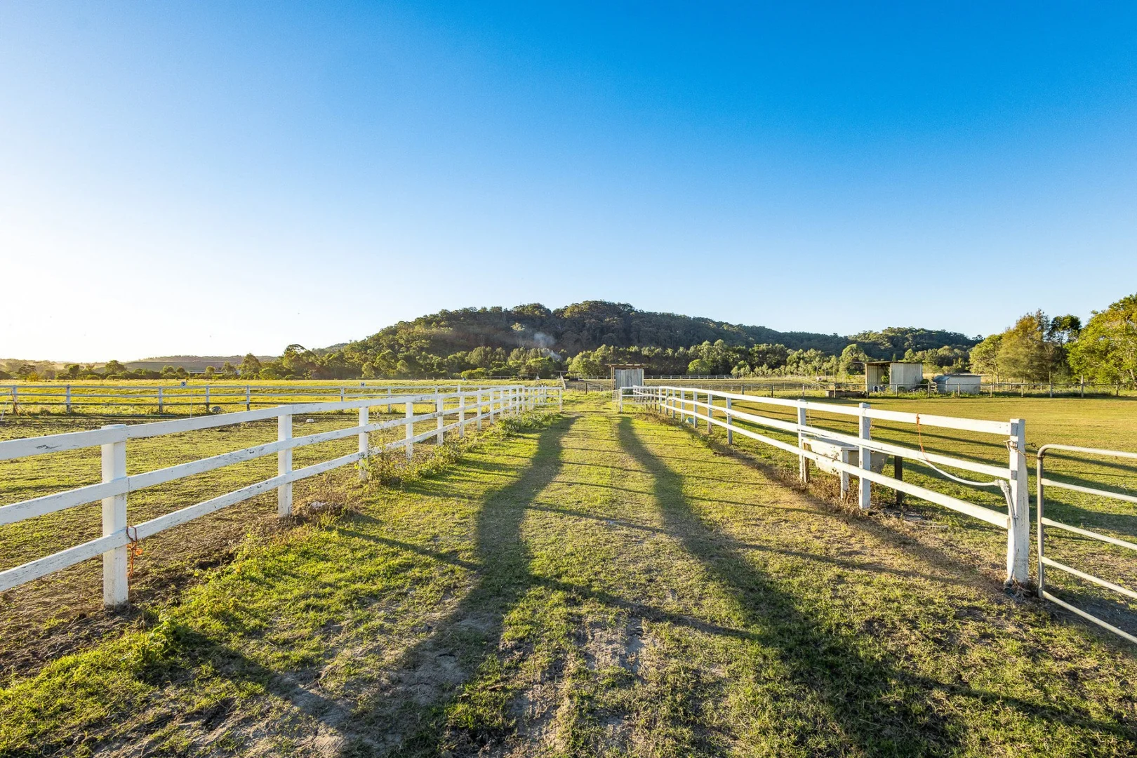 Additional image 8 of 163-187 Petrie Creek Road, Rosemount QLD 4560
