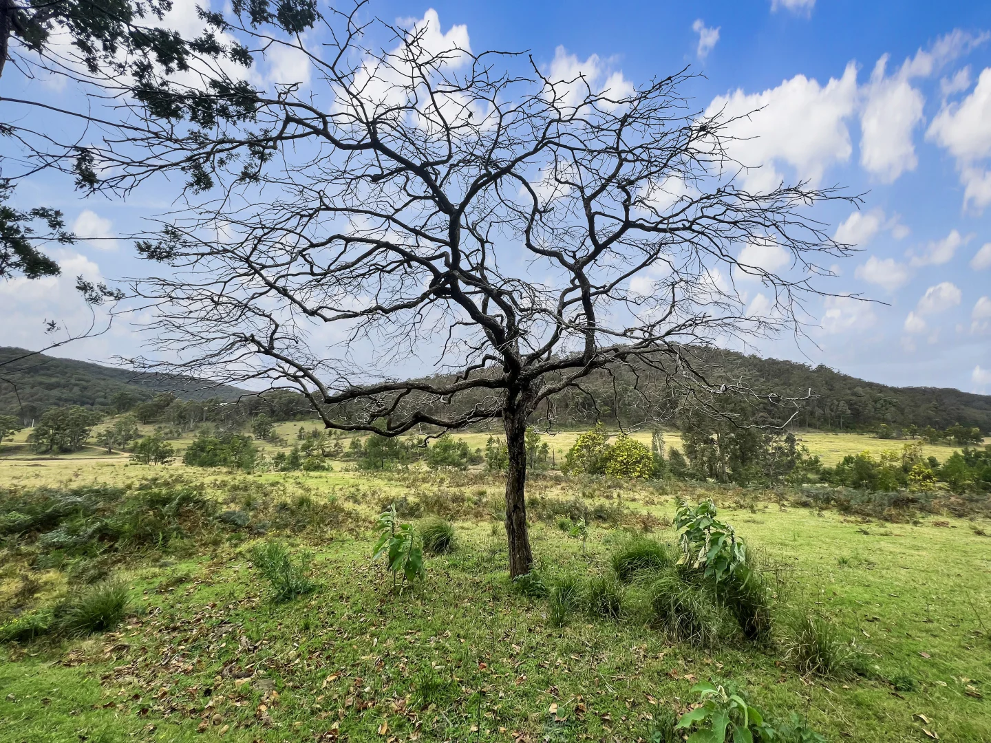 Additional image 5 of Parcel A Hitcham Park Dairy Arm Road, Laguna NSW 2325