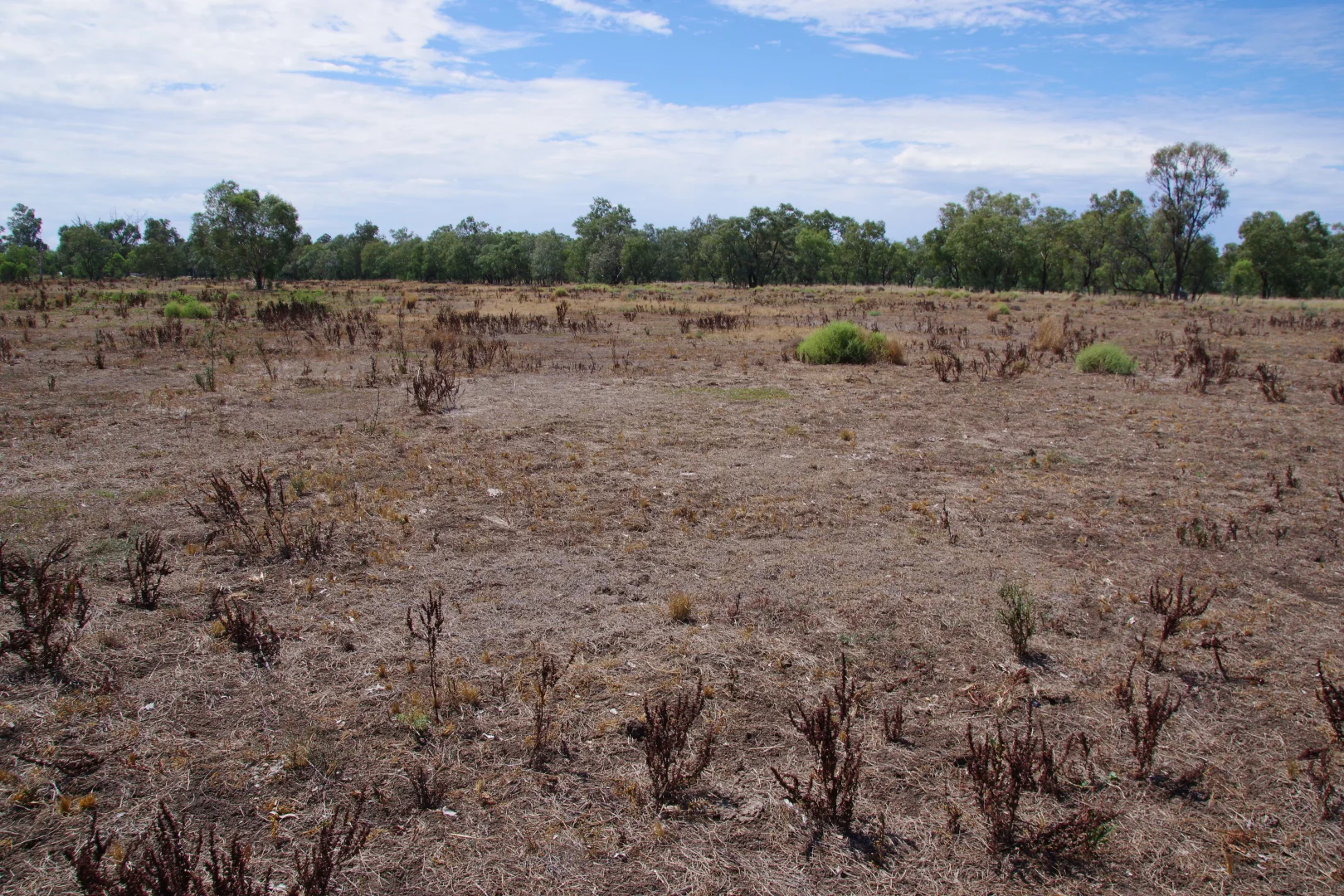 Additional image 30 of 23028 Kamilaroi Highway, Wee Waa NSW 2388