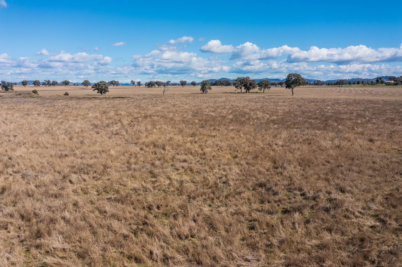 Additional image 3 of 95 Perseverance Lane, Gulgong NSW 2852