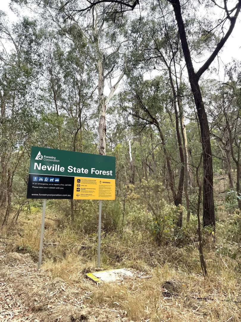 Additional image 10 of 848 Kentucky Road, Neville NSW 2799