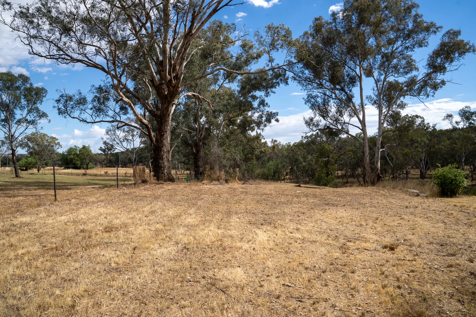 Additional image 18 of 328 Pinecliffe Road, Molong NSW 2866