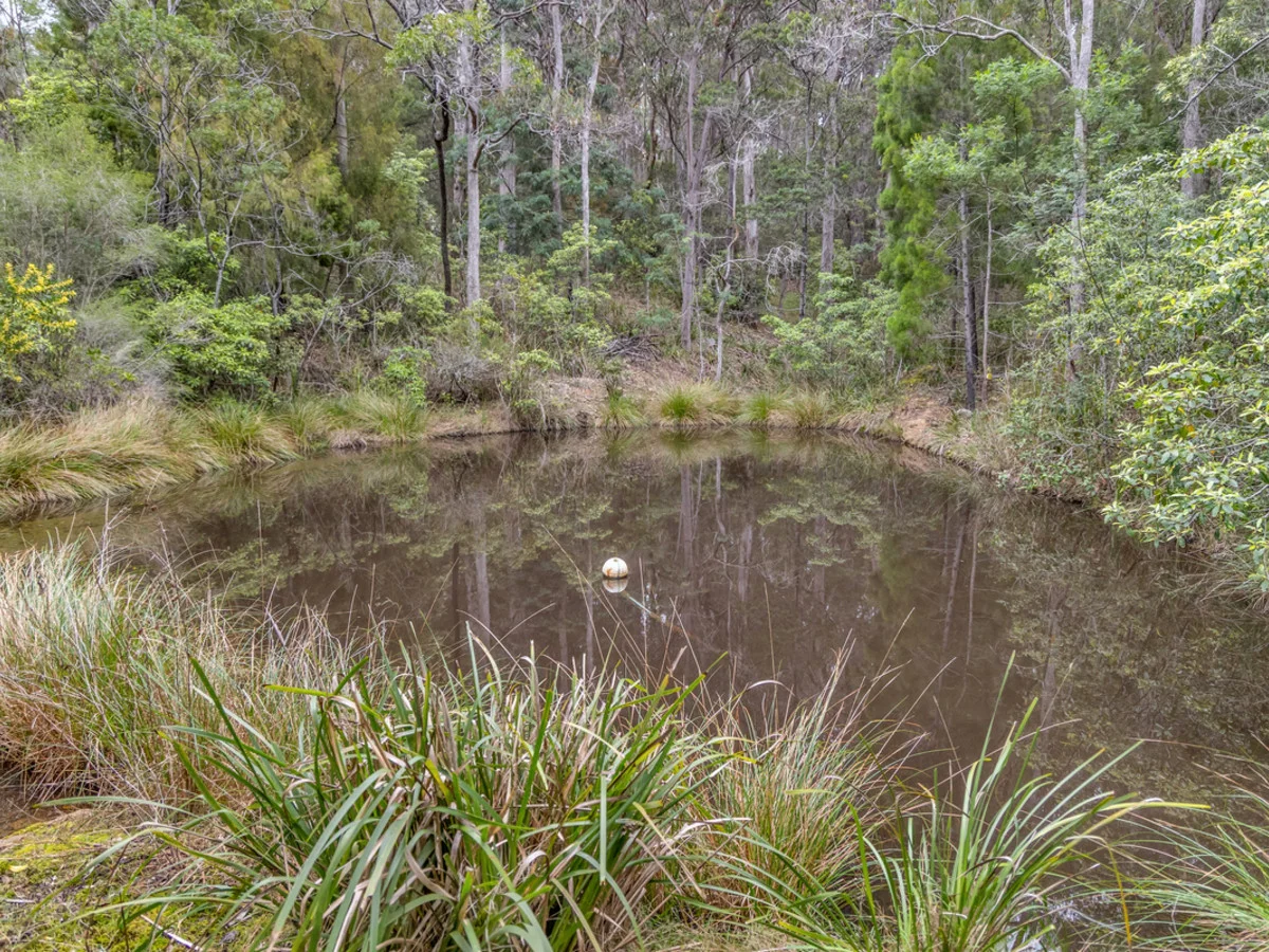 Additional image 29 of 12 Alinjarra Place, Barragga Bay NSW 2546