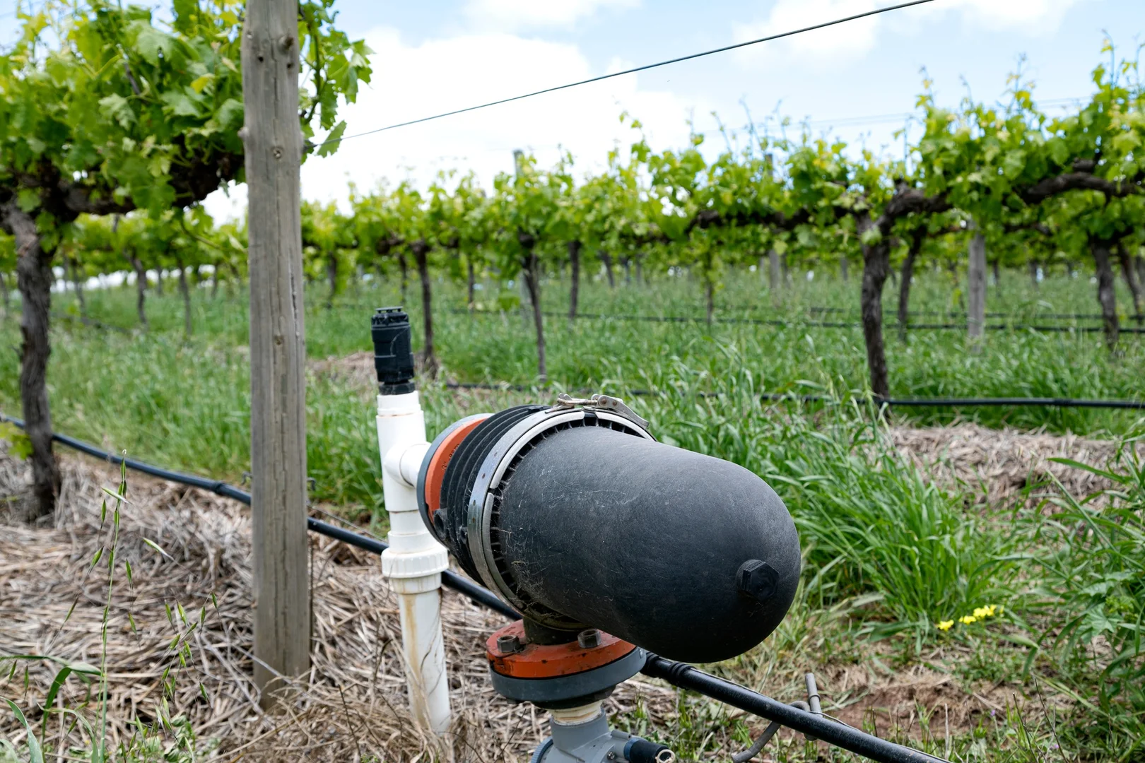 Additional image 12 of Lot 54 Tank Road, Auburn SA 5451