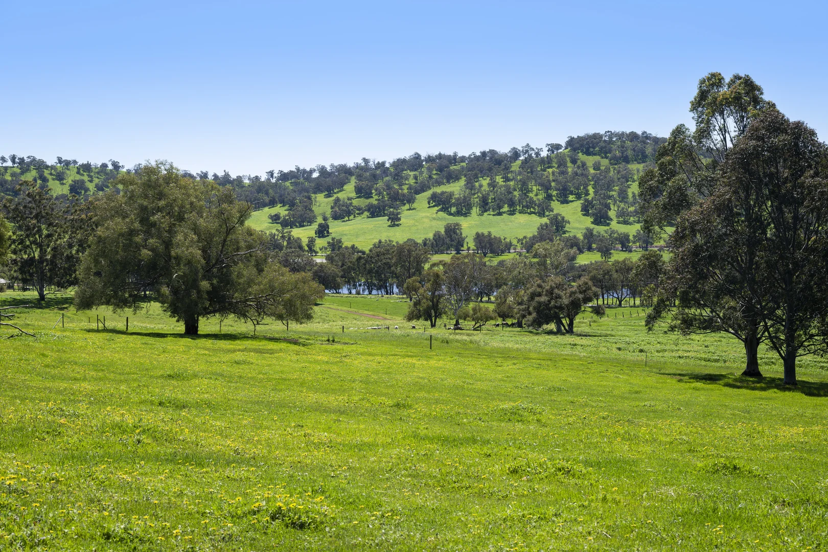 Additional image 3 of 54 Chittering Valley Road, Lower Chittering WA 6084