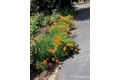 Additional image 43 of 3710 Orchard Ln, Sacramento, CA, 95821