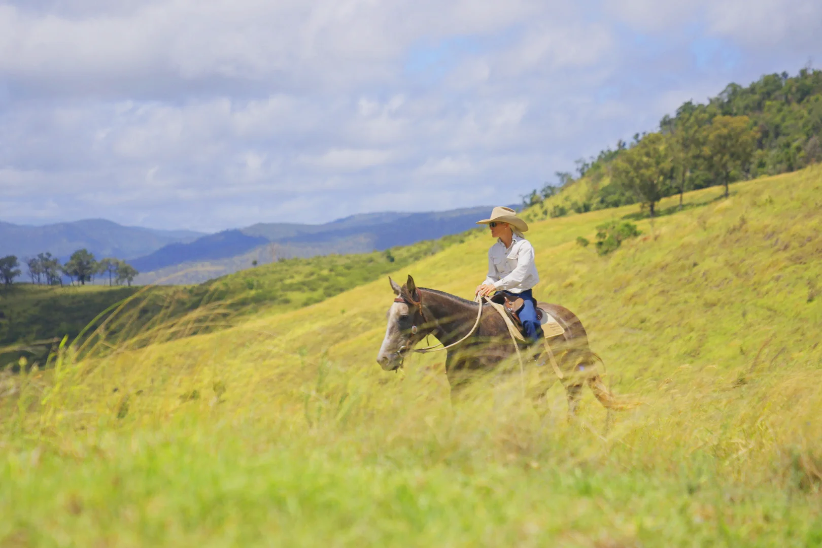 "PARADISE" 256 Paradise Road, Mount Sylvia QLD 4343