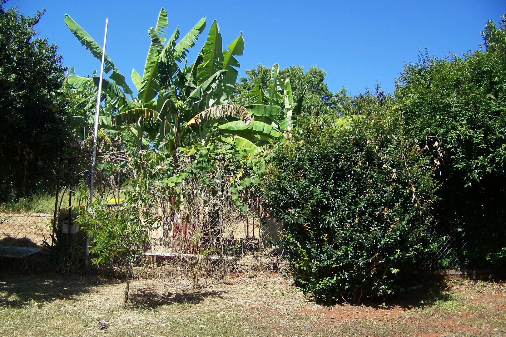 Additional image 2 of 29 Pine Avenue, Lamb Island QLD 4184