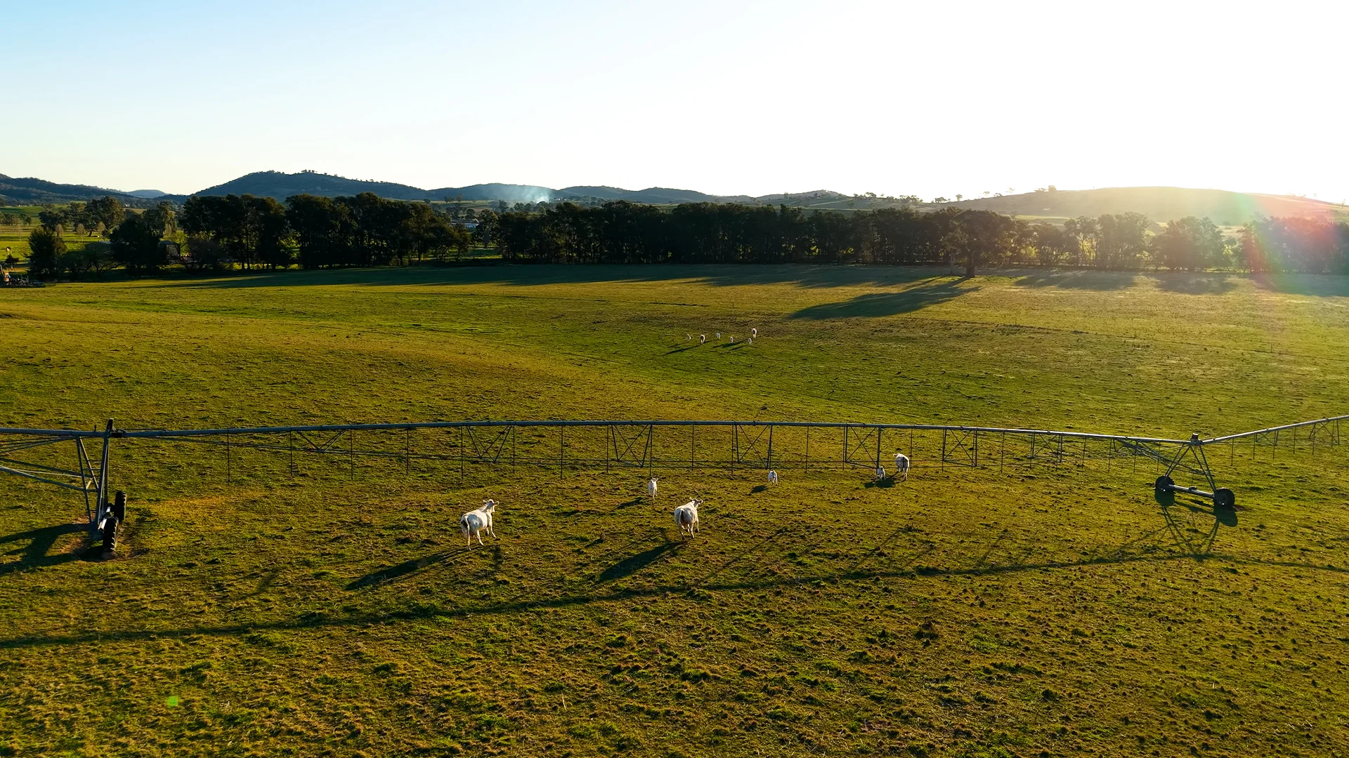Additional image 6 of 323 Tinja Lane, Mudgee NSW 2850
