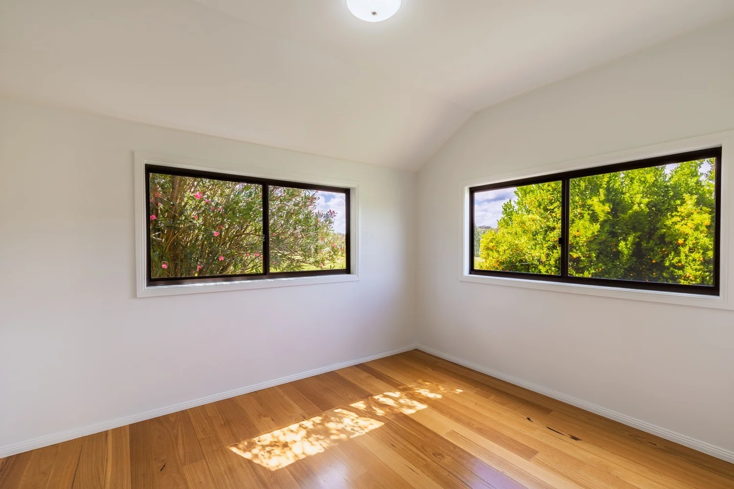 Additional image 30 of 2499 Towamba Rd, Towamba NSW 2550