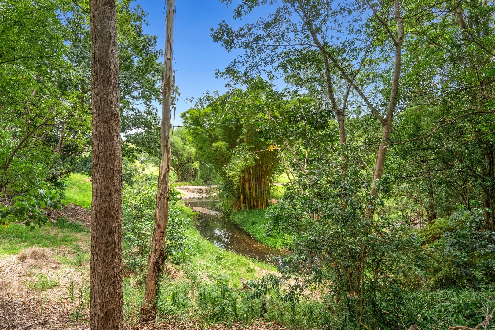 Additional image 46 of 319 Highlands Road, Eudlo QLD 4554