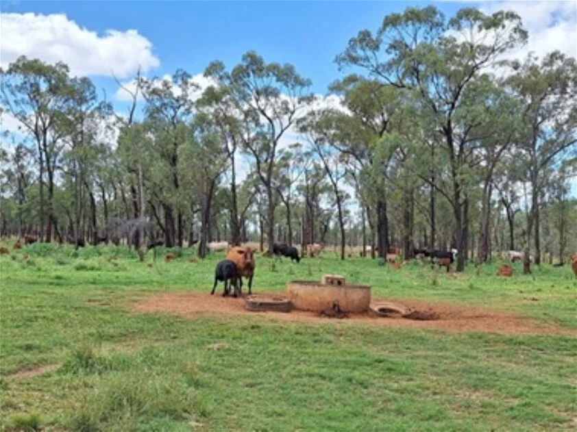 Additional image 23 of 6743 Dunrobin Road, Jericho QLD 4728