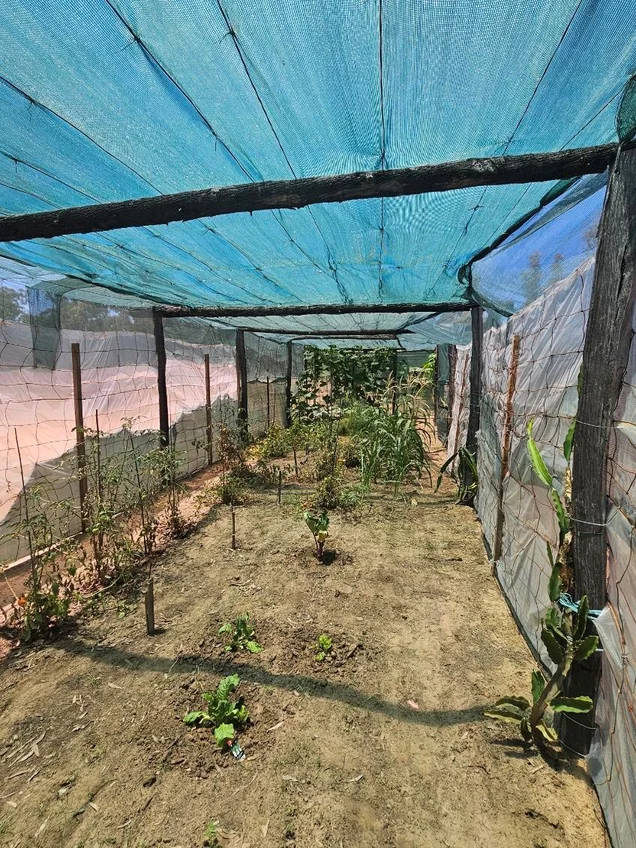 Additional image 19 of Tara QLD 4421