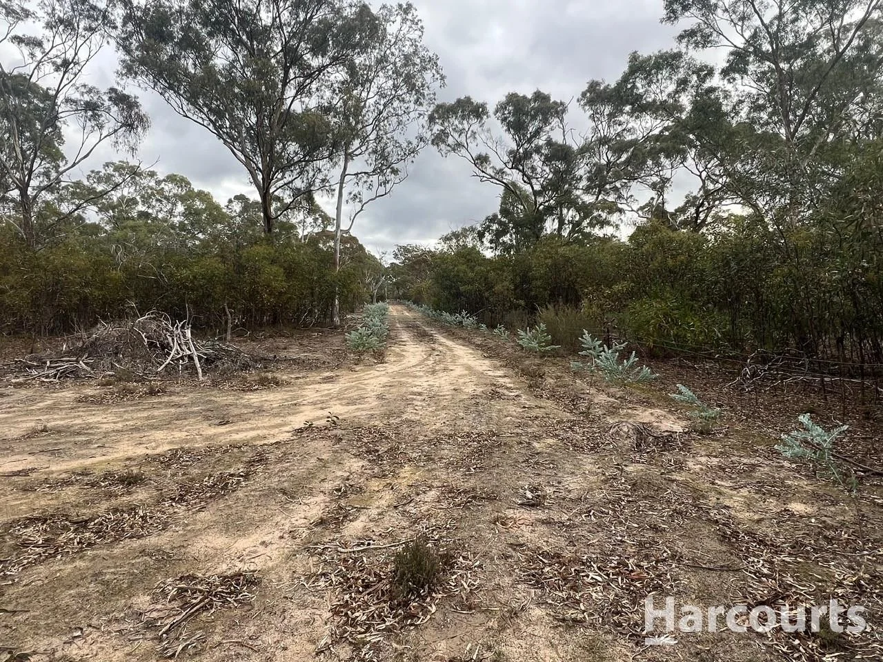 Additional image 3 of 2287 Roses Gap Road, Wartook VIC 3401