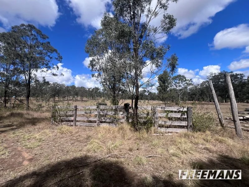 Additional image 29 of 316 Wattle Camp Road, Wattle Camp QLD 4615