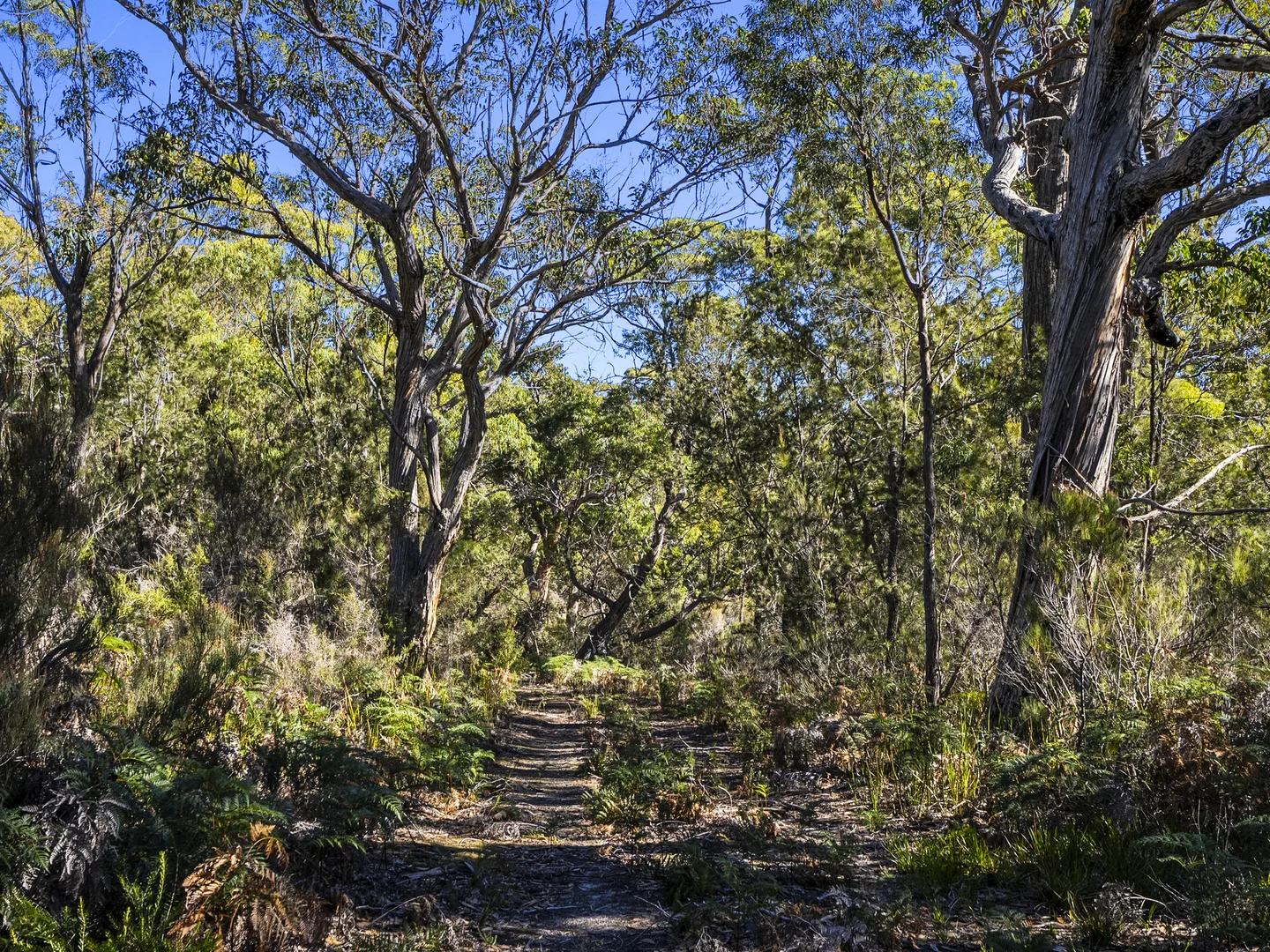 Additional image 30 of 1, 1, 2 Sympathy Point Road, Taranna TAS 7180