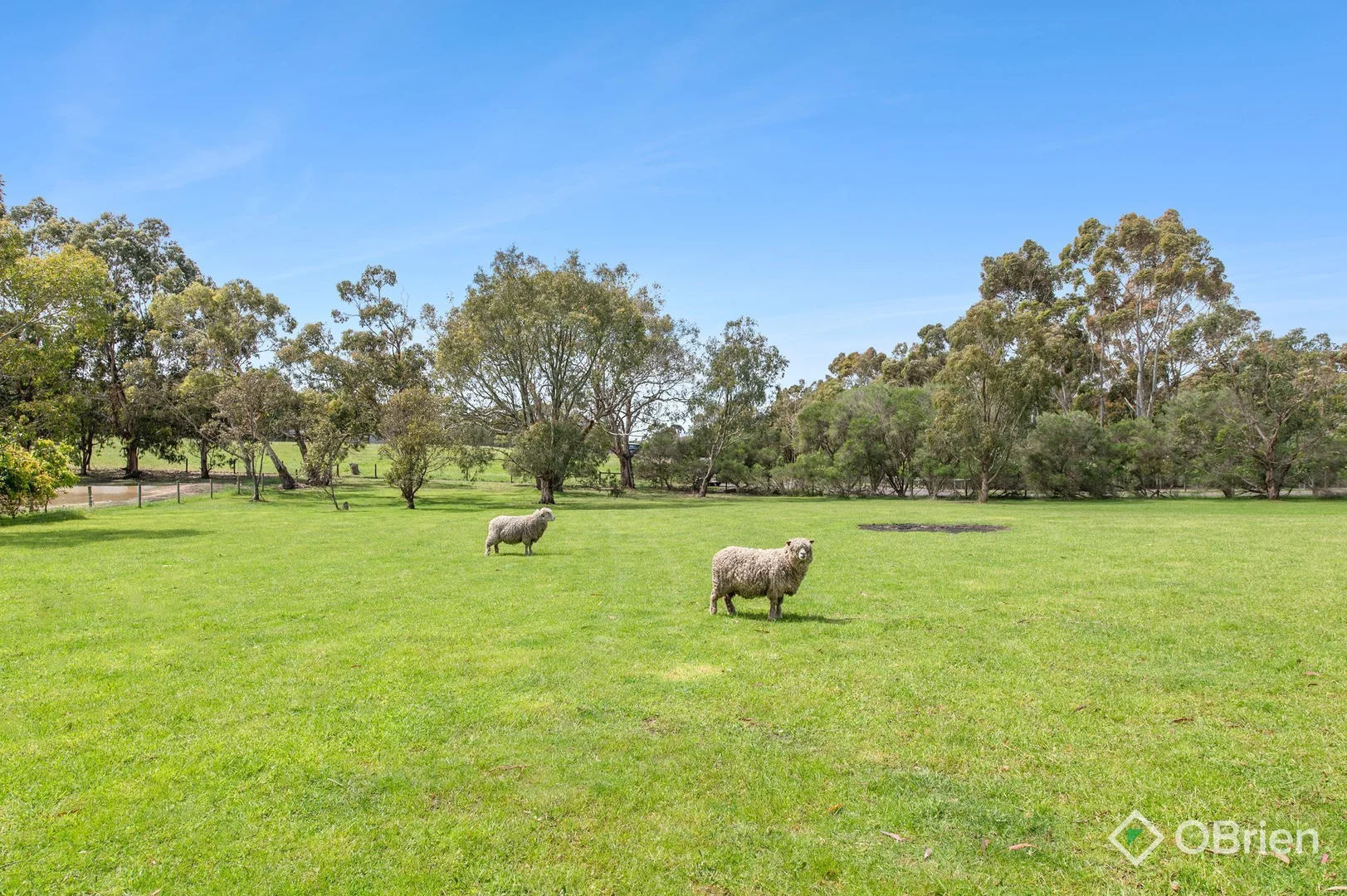 Additional image 16 of 103a Highfield Drive, Langwarrin South VIC 3911