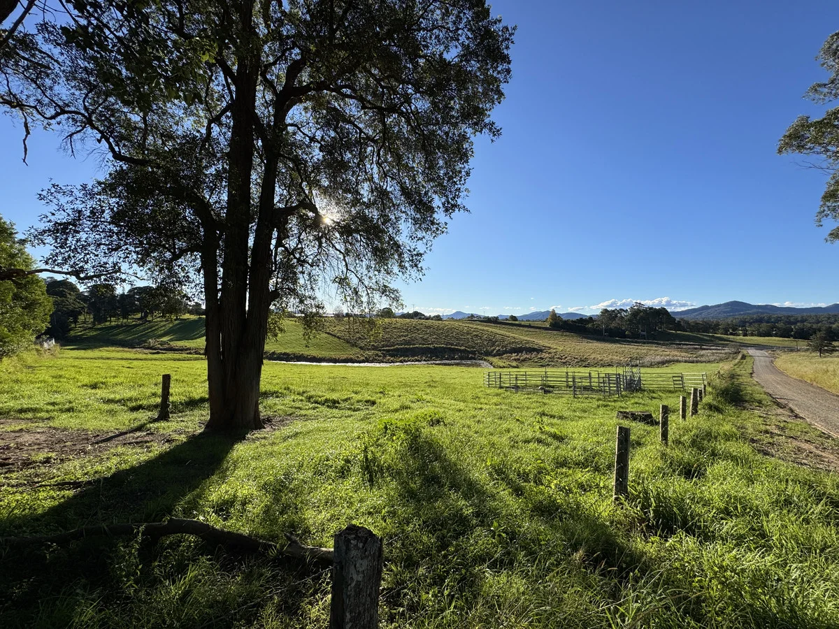 11/938 Wilson Road, Congarinni North NSW 2447