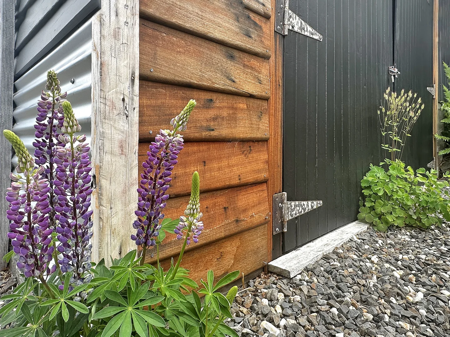 Additional image 34 of 15 Lee Street, Rossarden TAS 7213