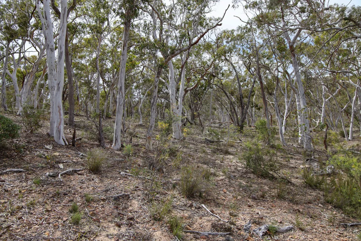 Additional image 10 of 1887 Oallen Ford Road, Oallen NSW 2622