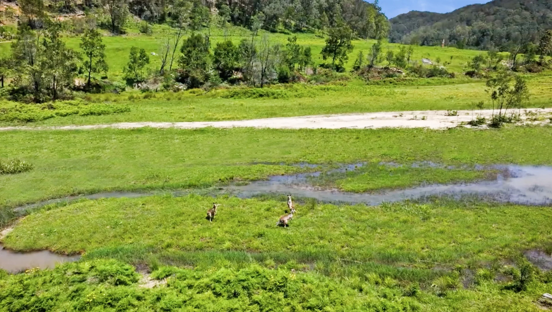 Additional image 9 of Parcel A Hitcham Park Dairy Arm Road, Laguna NSW 2325
