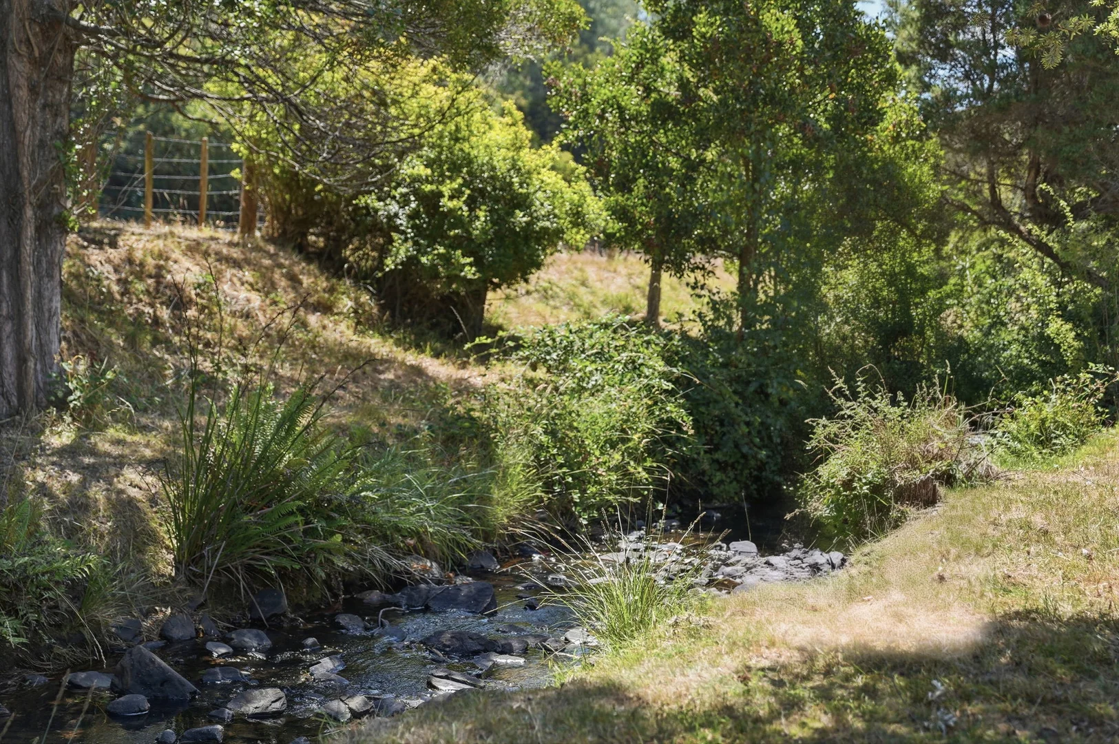 Additional image 22 of 1867 Lilydale Road, Lilydale TAS 7268