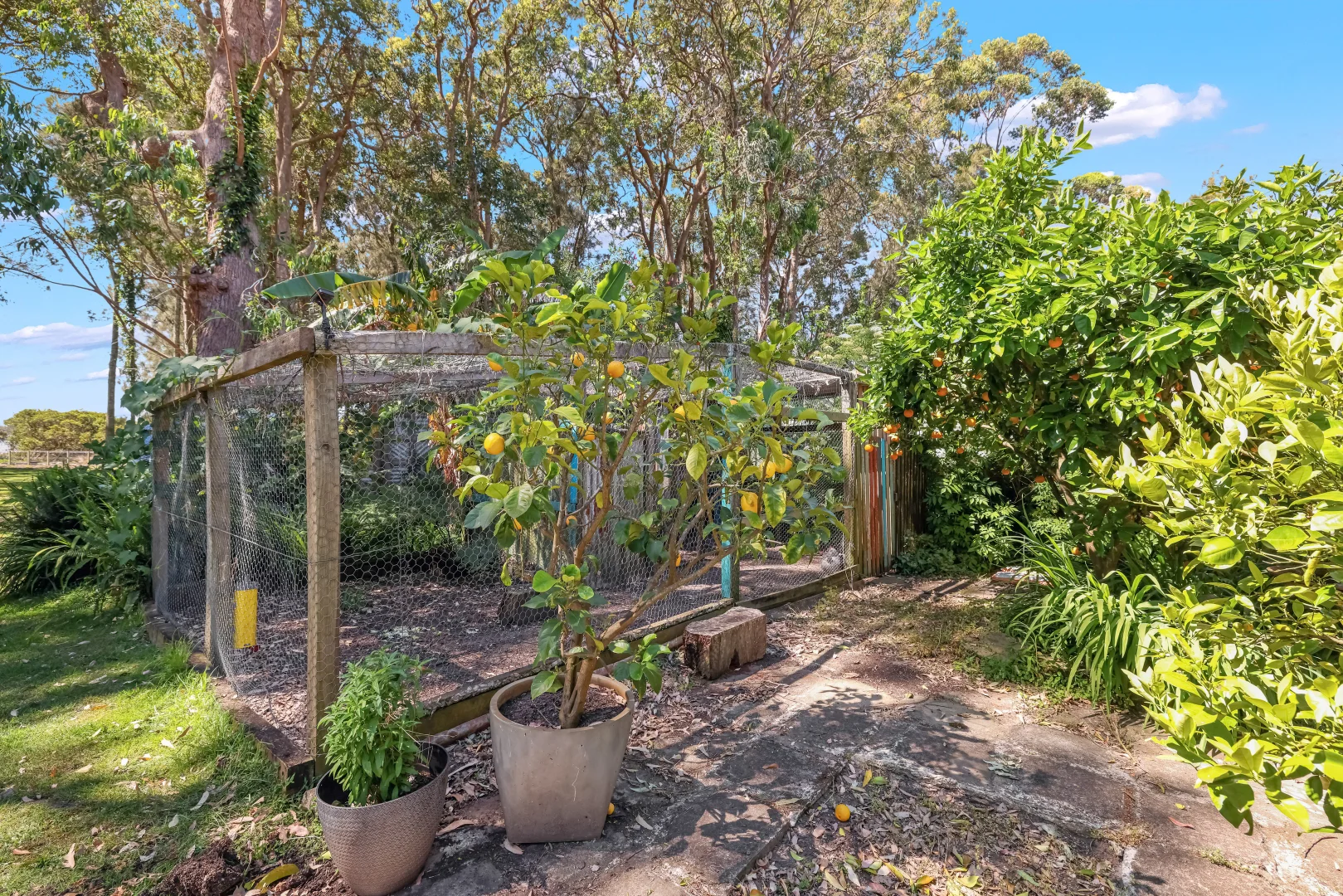 Additional image 14 of 3 Brighton Parade, Culburra Beach NSW 2540