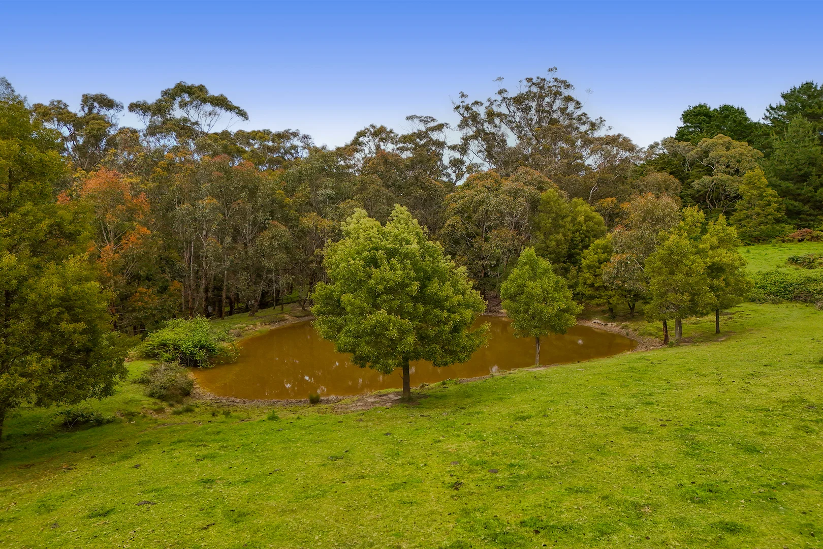 Additional image 9 of 135 Boldiston Road, Woodend VIC 3442