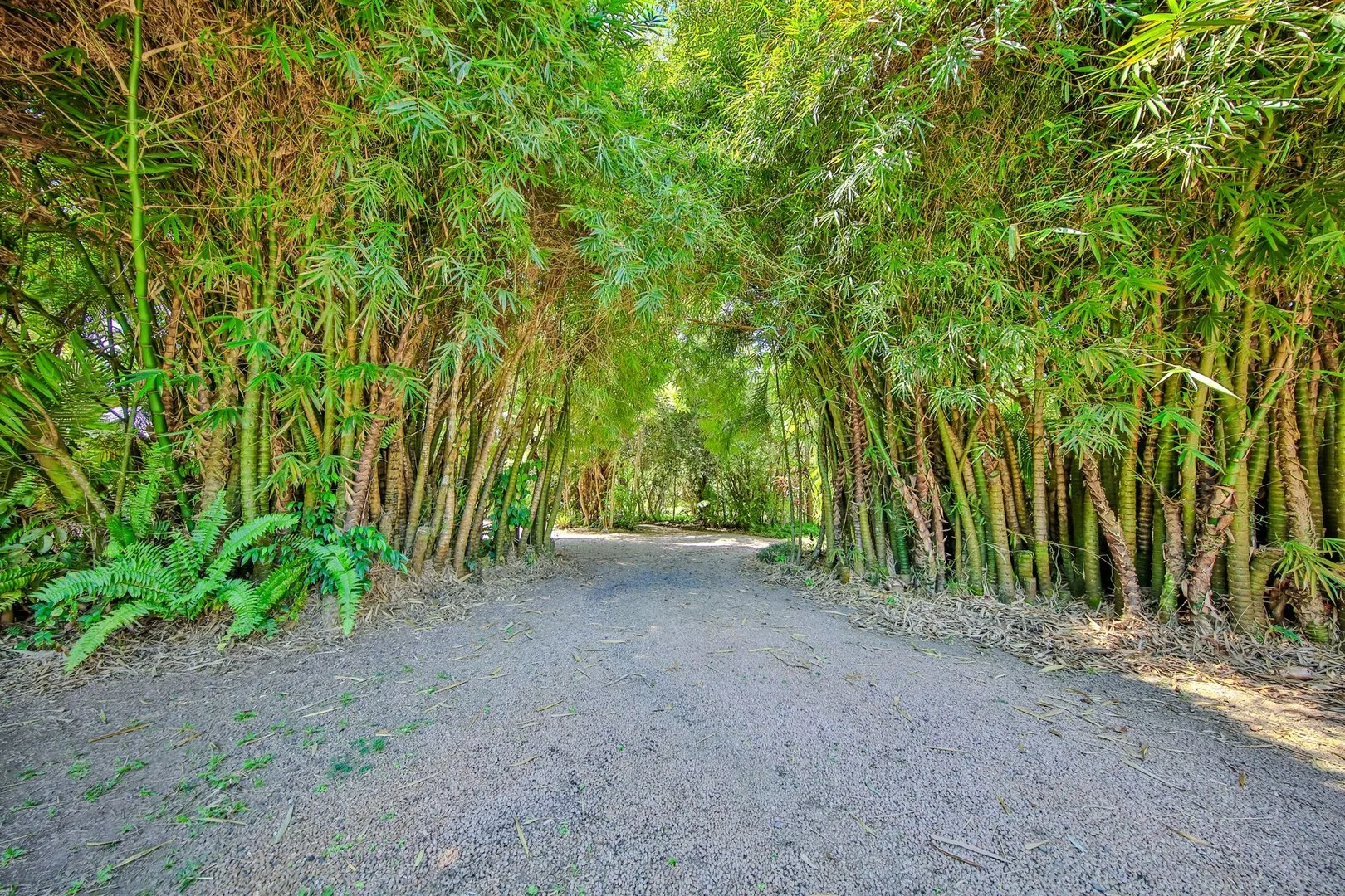 Additional image 40 of Stockton QLD 4871