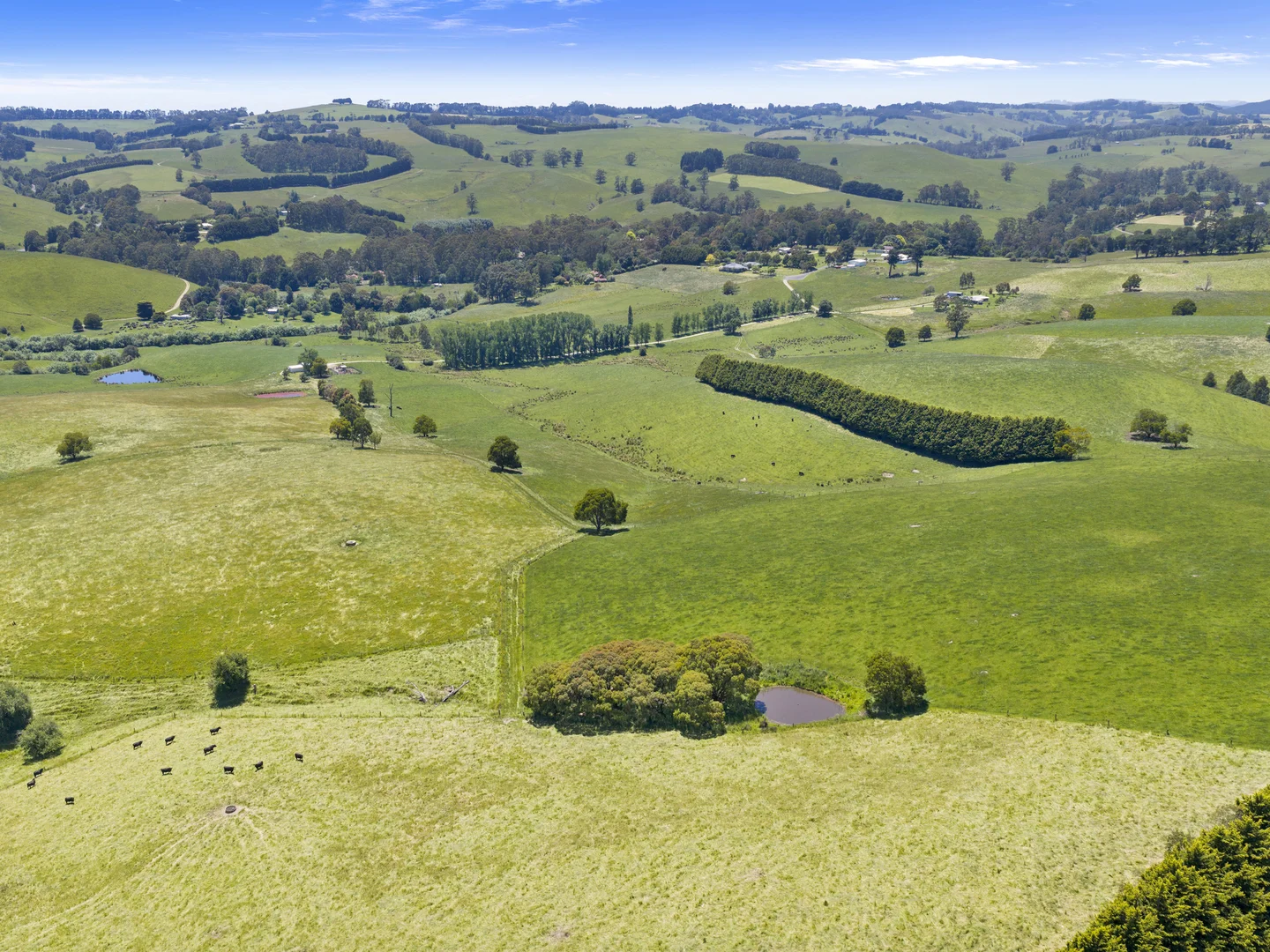 Additional image 12 of 15 Hankinson Court, Mirboo VIC 3871