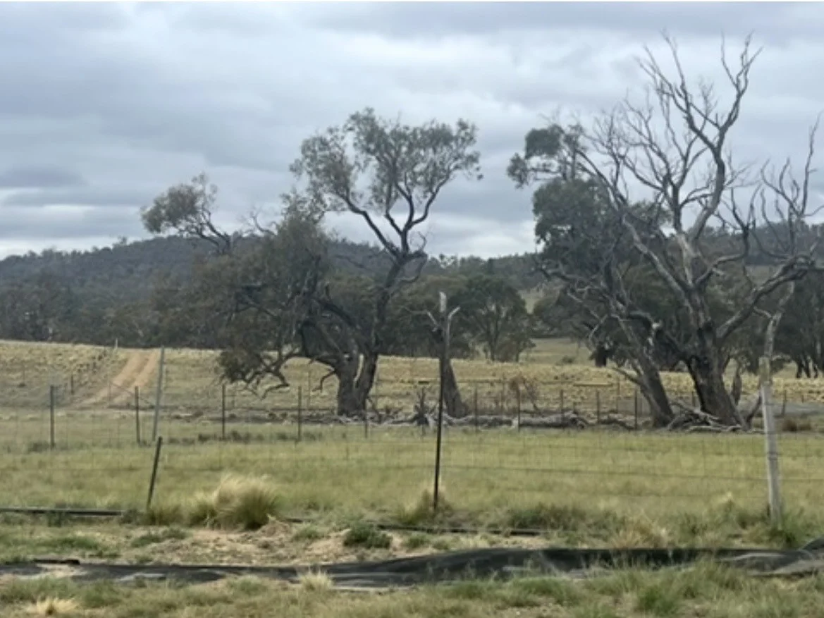 Additional image 16 of Lot 110 Rothlyn Road, Chakola NSW 2630