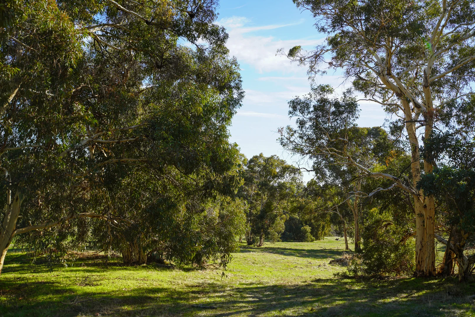 Additional image 22 of North Dandalup WA 6207