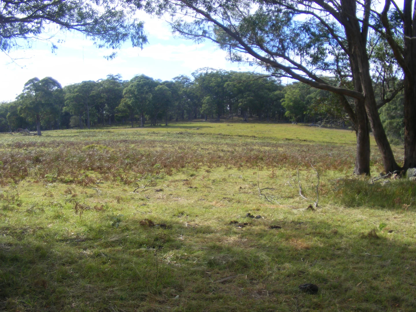 Additional image 16 of 618 Coopers Road, Red Range NSW 2370