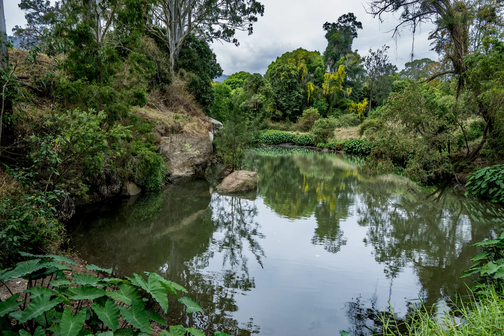 Additional image 35 of 2567 Beaudesert Nerang Road, Benobble QLD 4275