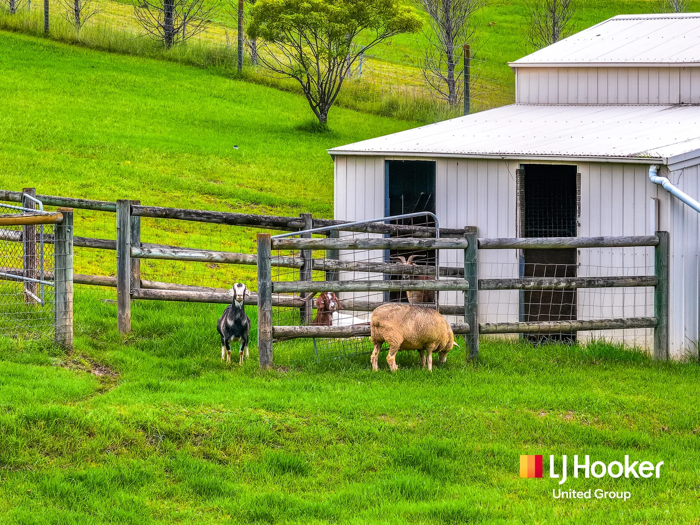 Additional image 17 of 157 Bobs Range Road, Orangeville NSW 2570