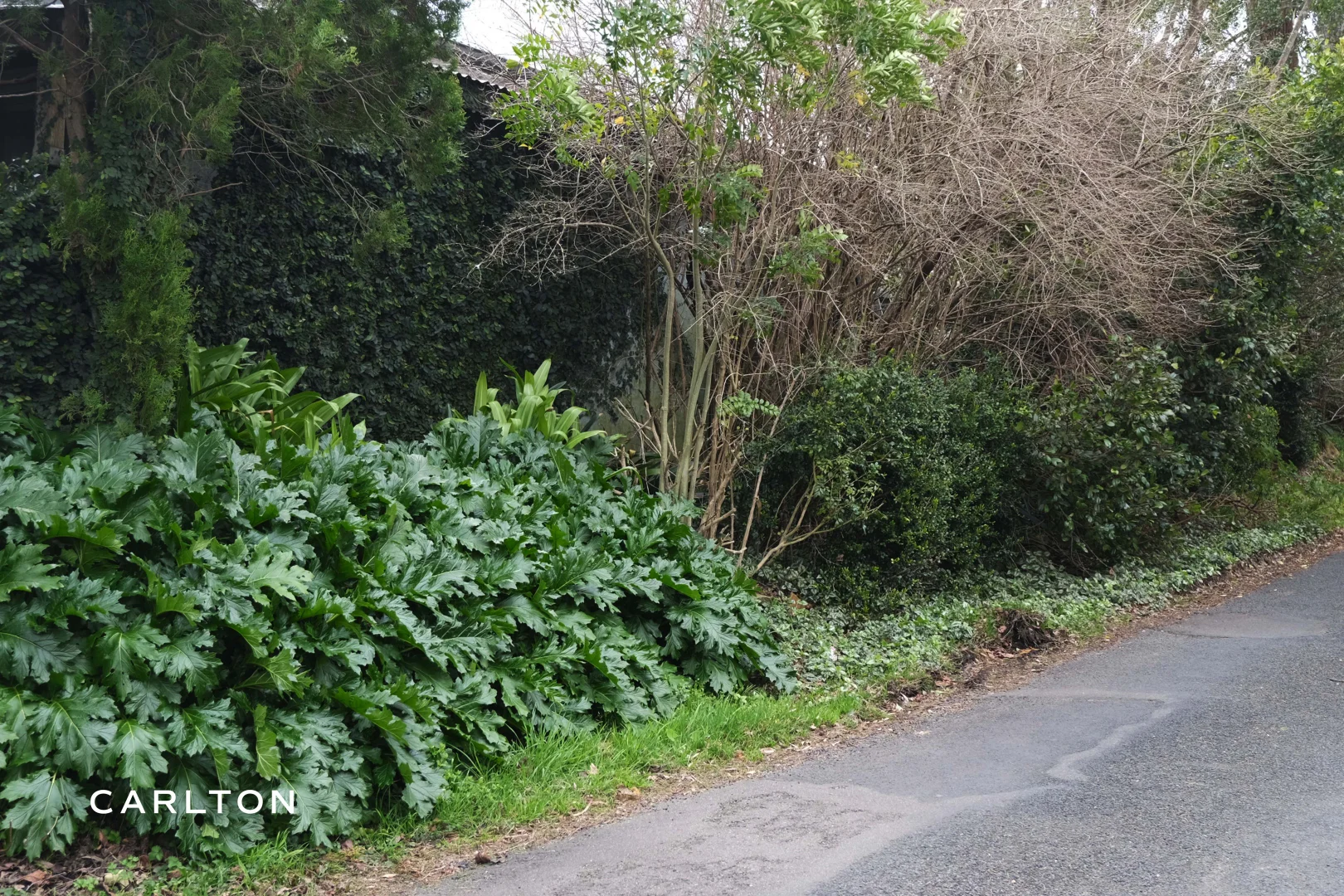 Additional image 16 of 7 Pioneer Street, Mittagong NSW 2575