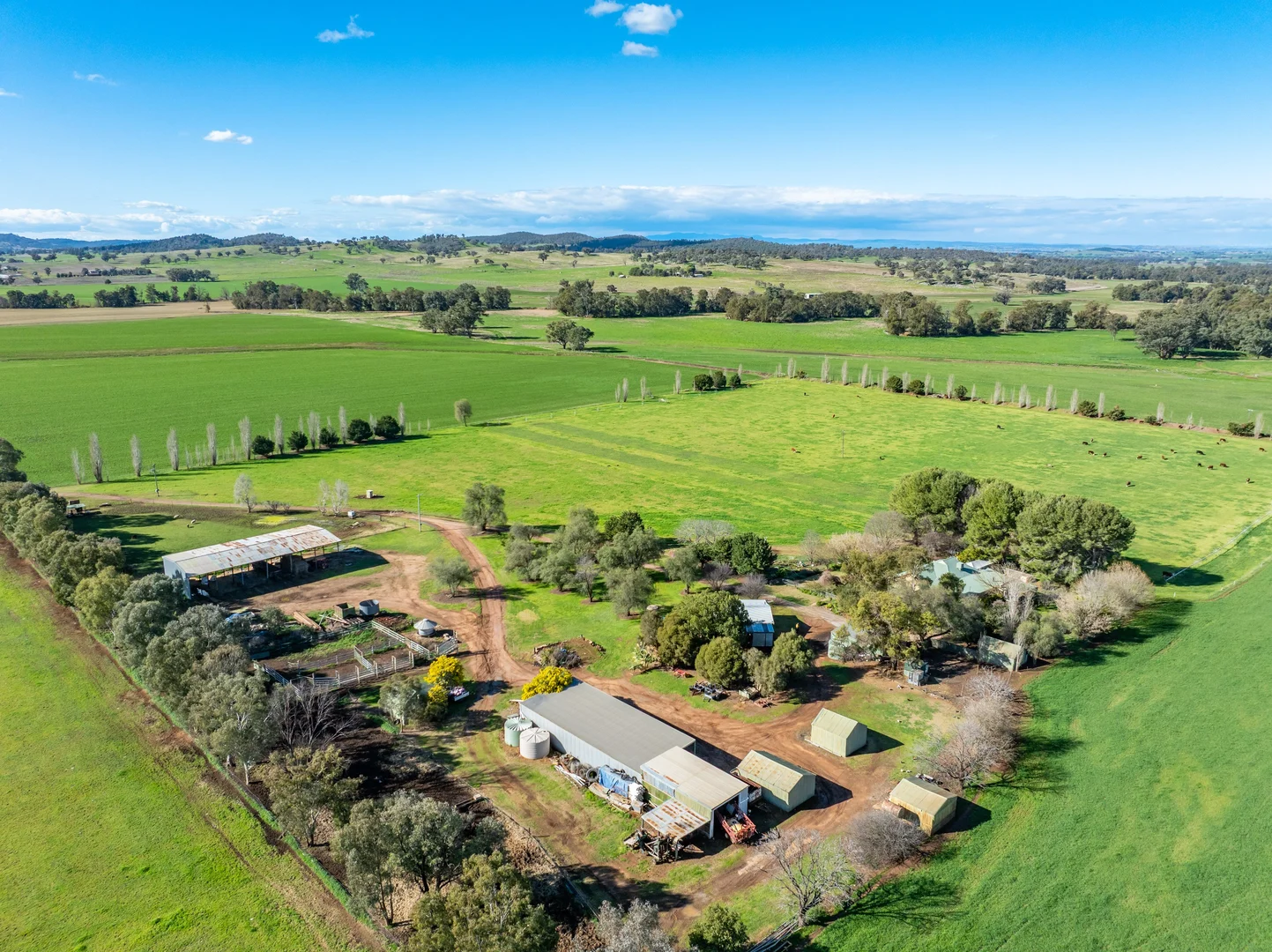 Additional image 4 of 164 Settlement Bridge Road, Canowindra NSW 2804