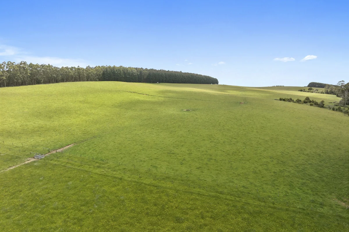 Additional image 29 of 4230 Colac-Lavers Hill Road, Weeaproinah VIC 3237