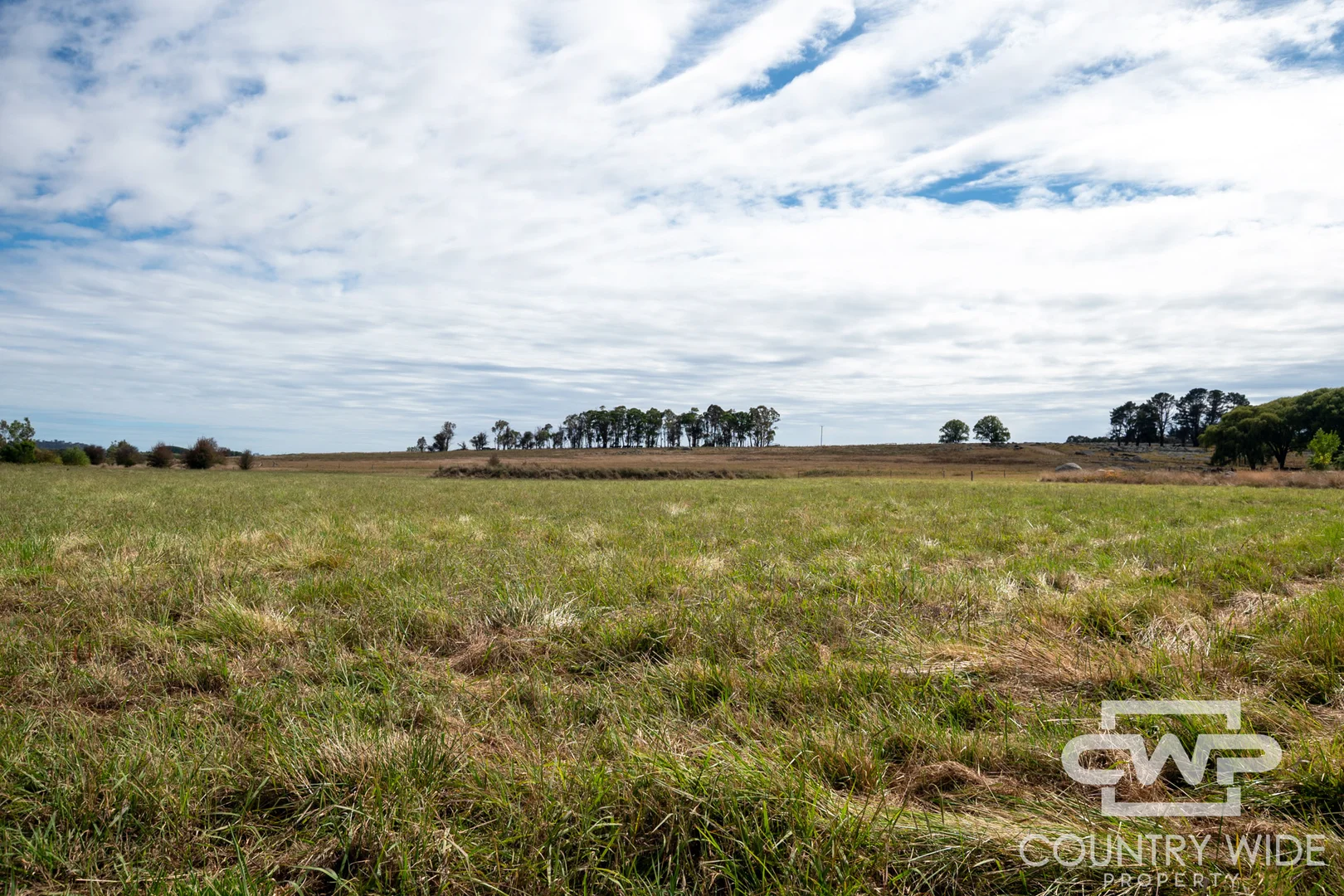 Additional image 13 of 172 Hazelwood Road, Stonehenge NSW 2370