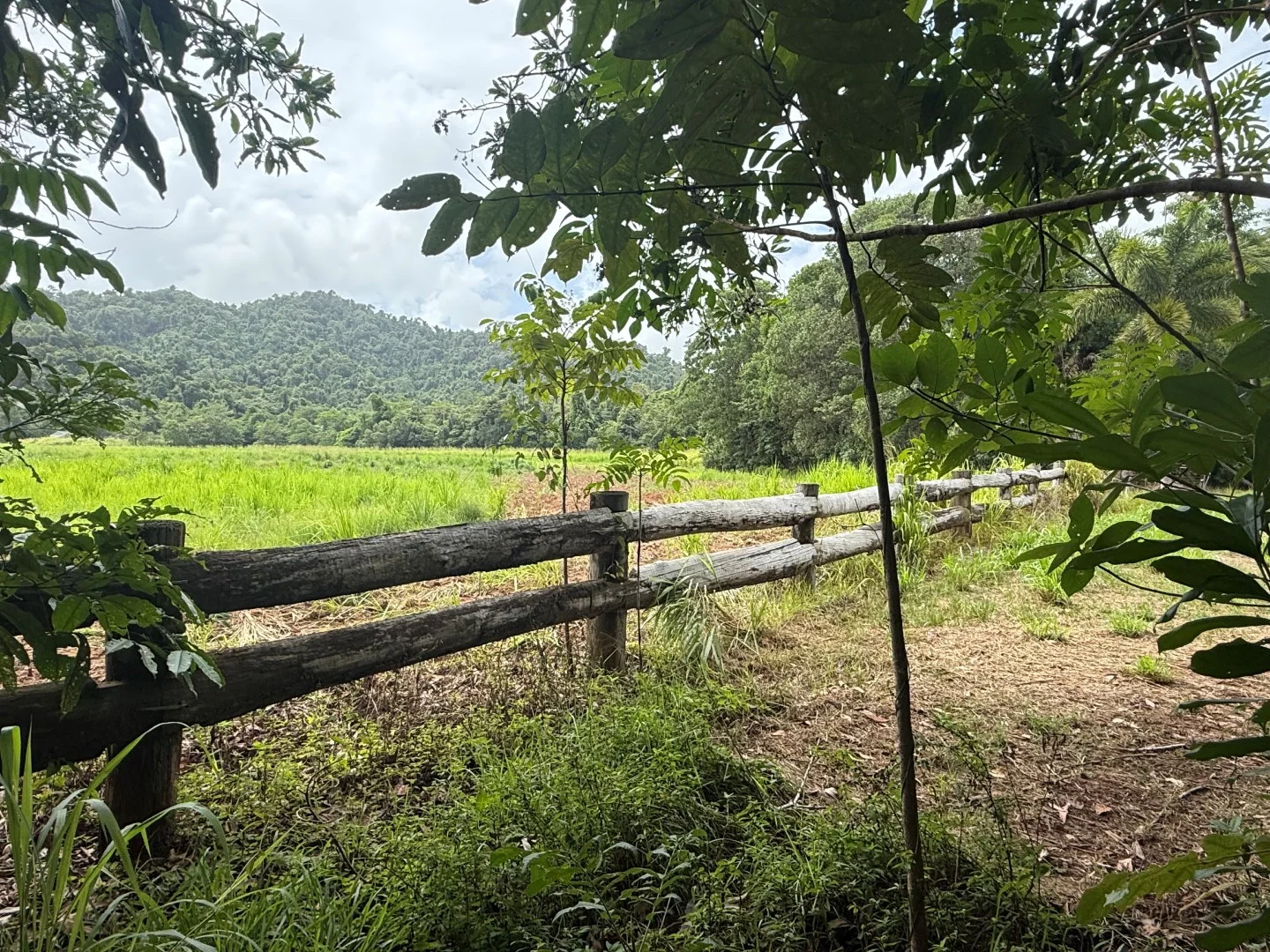 Lot 299 Bruce Highway, Friday Pocket QLD 4855