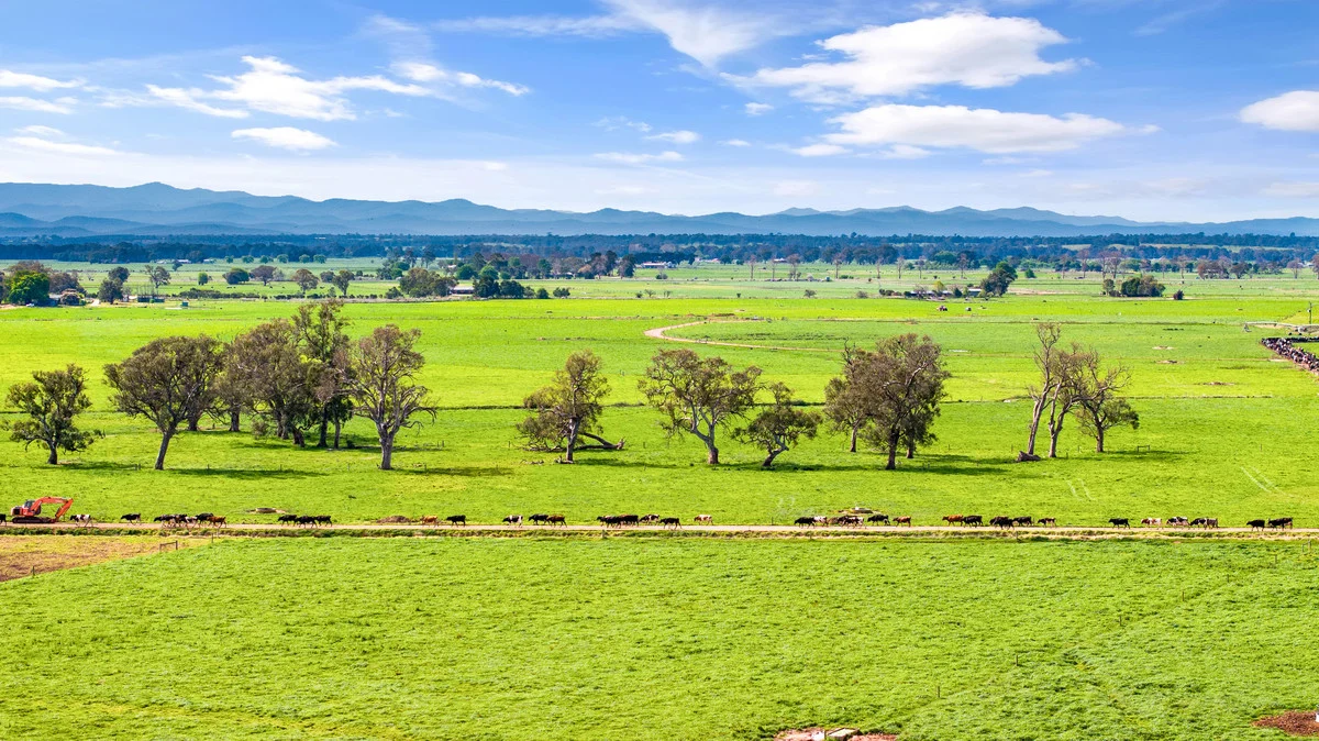 Additional image 18 of 95 Vardys Road, Riverslea VIC 3860