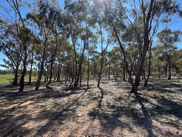 Additional image 23 of 4CA Calder Highway, Wedderburn VIC 3518