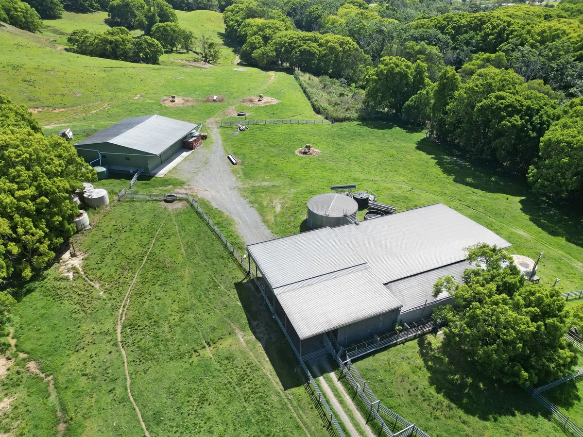 Additional image 14 of 1039 Currumbin Creek Road, Currumbin Valley QLD 4223