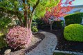 Additional image 36 of 113 Lasso Lake Ct, Lincoln, CA, 95648