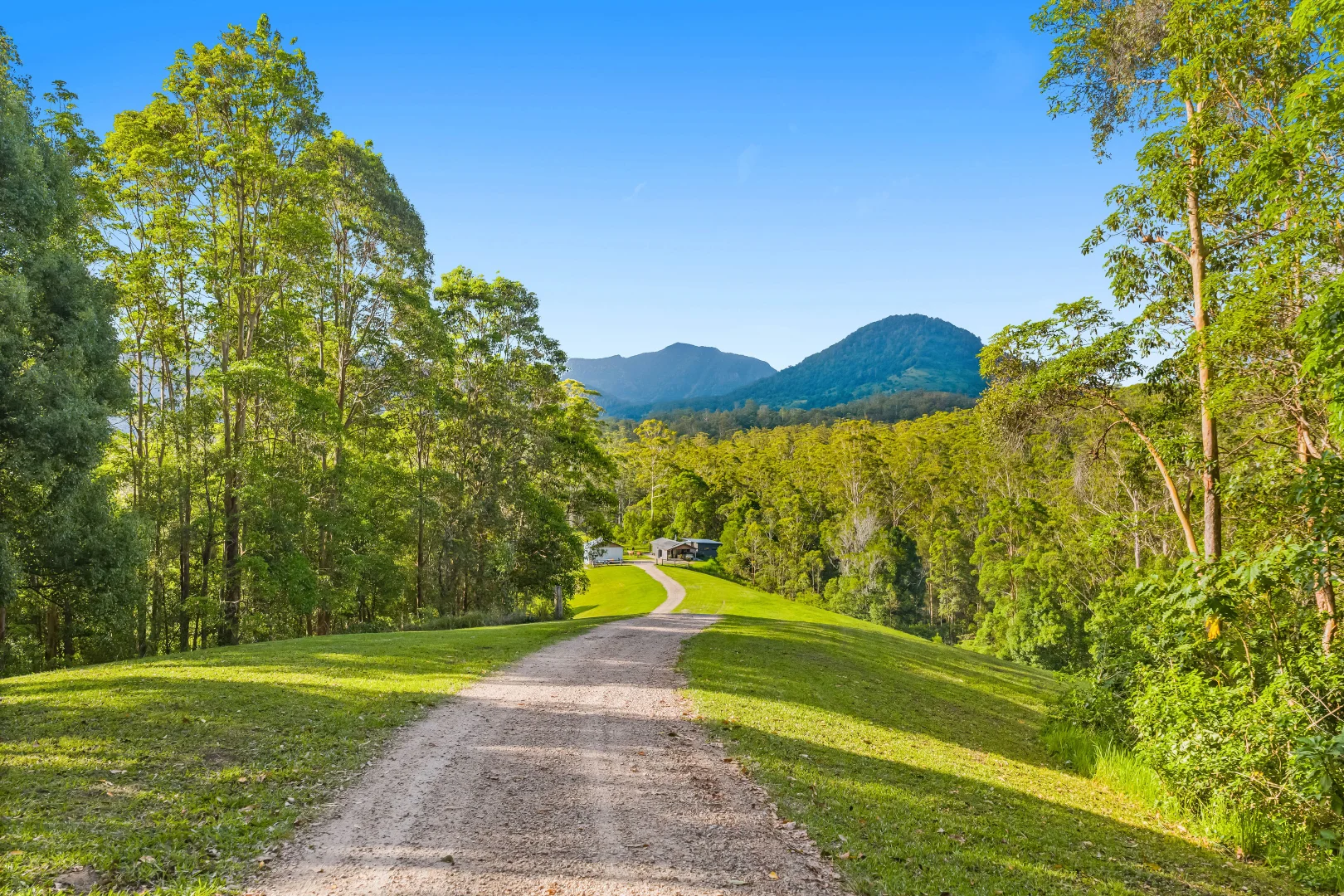 Additional image 6 of 157 Boormans Road, Tyalgum NSW 2484