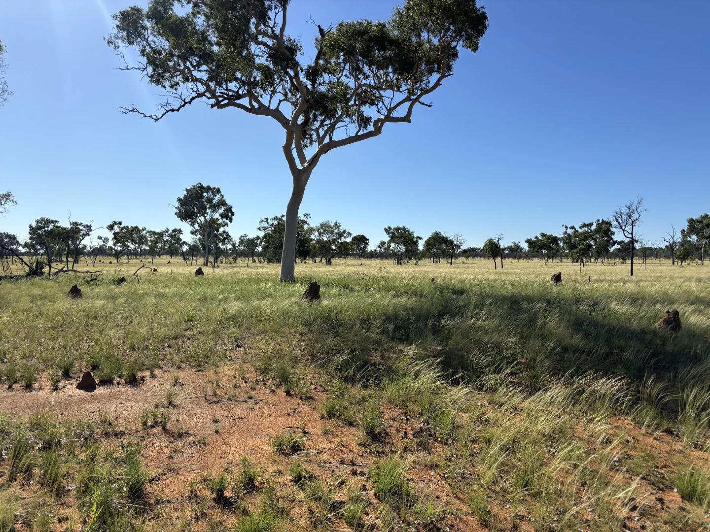 Additional image 6 of Lot 12 Capricorn Highway, Jericho QLD 4728